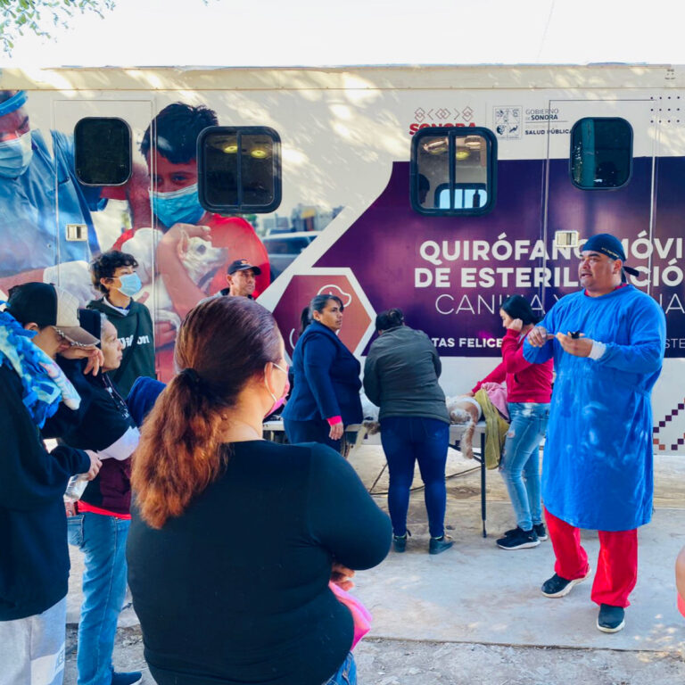 El dia 13 de diciembre se realizó con éxito la vacunación antirrábica y la esterilización canina y felina en el Municipio de San Ignacio Río Muerto.