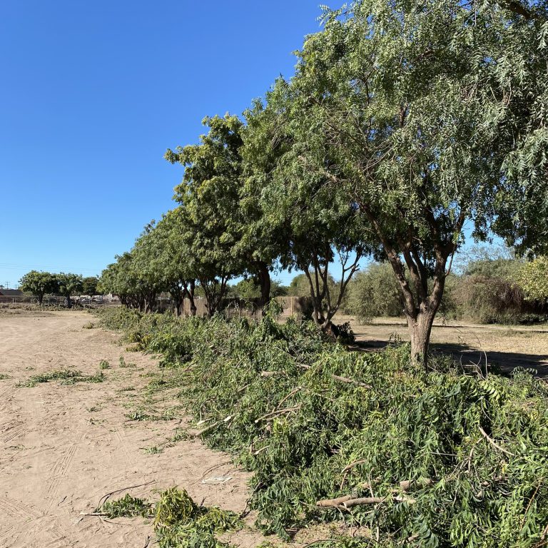 ¡Arrancamos con todo este 2023! Esta mañana el presidente Abel Gonzalez Ambriz hizo un recorrido para supervisar avances y procedimientos de obras de drenaje, agua potable, techo de iglesia católica “Nuestra Señora del Carmen”, rehabilitación de parques infantiles y poda de arboles.